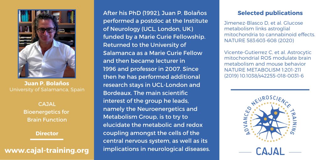Cajal_Training's tweet photo. 👥Meet the #CAJAL course directors: @bolanosjuanp from @ussp_usal is director of the #Bioenergetics for #Brain Function course
👉Apply & info: https://t.co/VpRzIFyNU3
⏰DEADLINE: 4 January
#Stipends available
@FENSorg @ibroSecretariat @bdxneuroschool @Neuro_Bordeaux https://t.co/6hVVWUT5K9