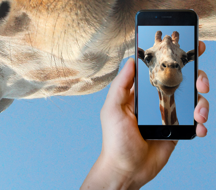 📱  "Penser sa communication en vertical" par @cervasky 👉  ow.ly/FnPu50CR0IB « Après Snapchat, Facebook, Instagram, LinkedIn, Twitter se met aux stories confirmant la place prise par la narration verticale et interactive ds l’édition de contenus » #socialmedia #compublique