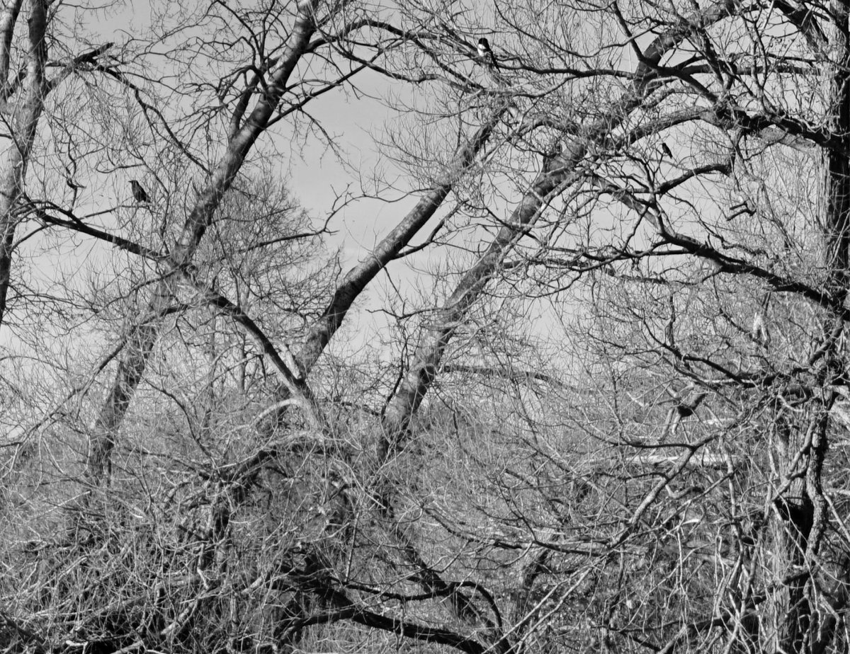 Christmas, a little different this year. Whatever you're up to, let's take time to pause, on our doorsteps, favourite tipple in hand &amp; raise a glass to each other, at 11 a.m on Christmas day. A Happy Christmas &amp; better New Year, to one &amp; all, take care guys💫#thinkingofall x