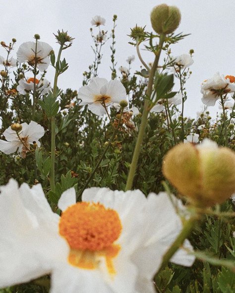 Look, COVID-19 isn’t the only thing that’s contagious this year. So are thoughts, beliefs, and mindsets.

So let me ask you…
Do you wash your mental hands? (I know, I know, it’s a lot to ask since you’re washing your physical hands 47 times a day #dryAF)

Because you’