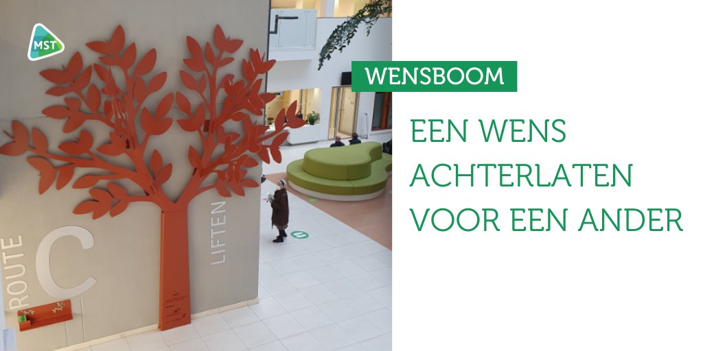 Een metershoge stalen wensboom is vandaag in gebruik genomen als wensboom in ons ziekenhuis in Enschede. Patiënten, bezoekers en medewerkers kunnen een wens voor een ander in deze boom hangen. Lees erover op mst.nl/p/wensboom-in-…
