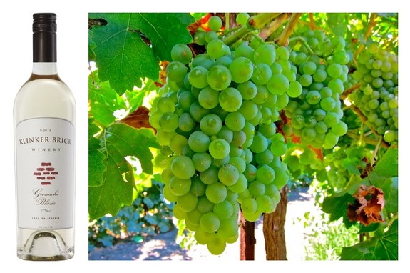 NEW on the lodigrowers.com #blog: A LODI WHITE WINE MAKES THE WORLDS TOP 100 LIST by Randy Caparoso, <a href="/RCaparoso/">Roselle Caparoso</a> 

lodigrowers.com/a-lodi-white-w…