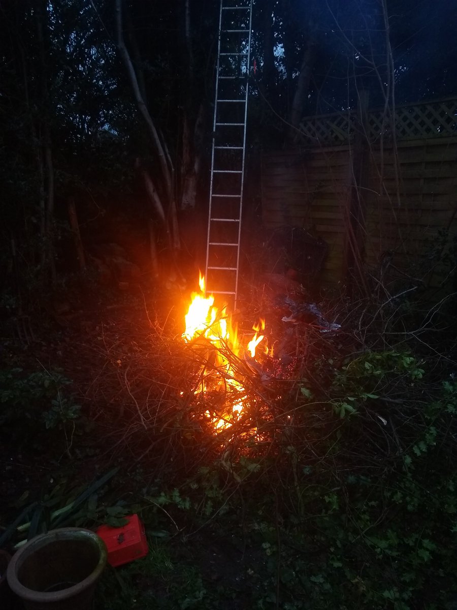GuyBarter's tweet photo. When you are halfway through the winter pruning & it's the shortest day... #atavistic #WinterSolstice https://t.co/9Y1DlXvYnY