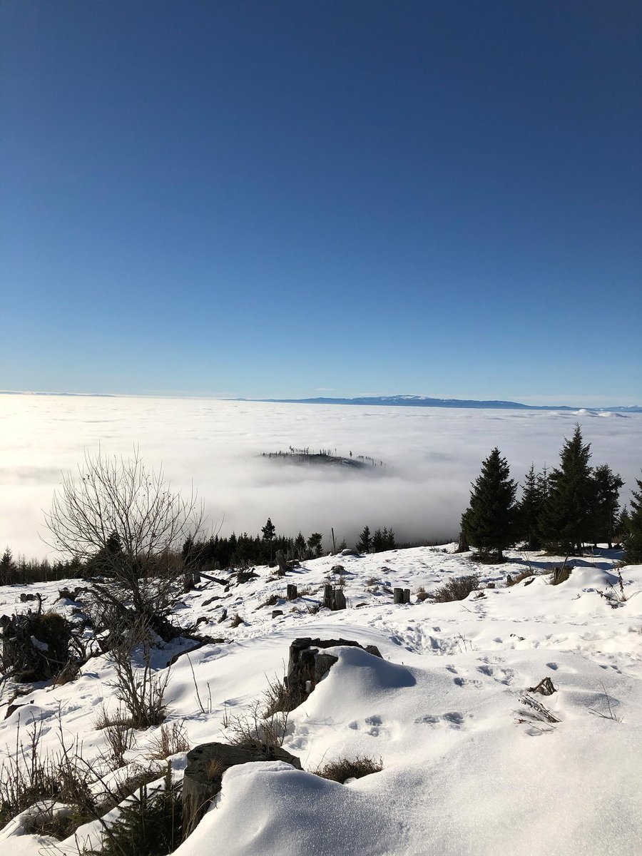 StepsAppTeam's tweet photo. So you can enjoy the nature, we count the steps automatically in the background. That's what we do!  🙌 #stepsapp #yourstepcounts #outdoorlove https://t.co/UU1uEIqxap