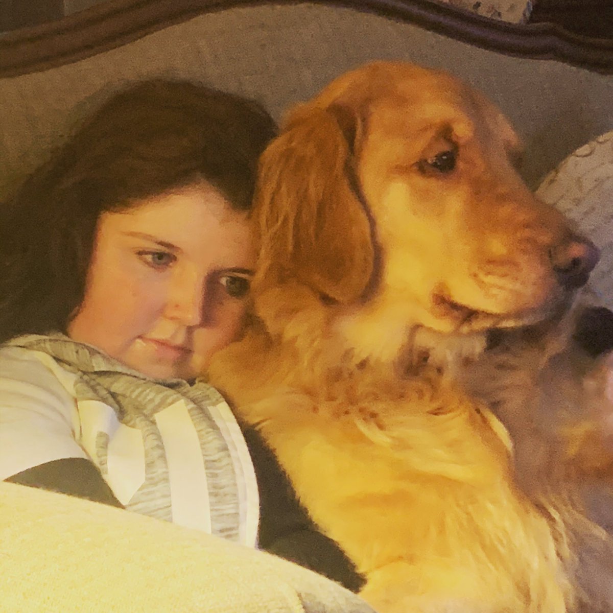 EnglishStaci's tweet photo. Unconditional love! 🥰❤️❤️ #Christmas2020 @nativeofenglish https://t.co/FCtC2vQ1cE