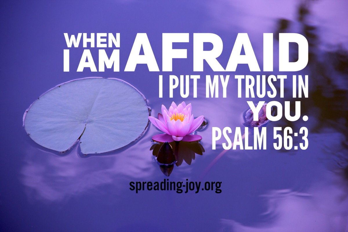 spreadingJOYing's tweet photo. As we end this year and waltz into another... 

Focus on the Father 

When I am afraid, I put my trust in you.  Psalm 56:3 #TWorship #GodPromised #nuggetsofJOY https://t.co/S2A8hnDLWA