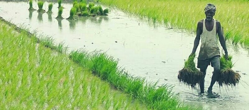 DassiAnu's tweet photo. Our Identity Are Erased Some Leader's..
.
Dear leader's Pls Drop Your Plan...
.
Your are Don't Dropped Formerlaw A  Biggest Problem Of Our Nation

This Not A Argument ... that's Is Warning ⚠️
#WeAlwaysSupportFARMERS https://t.co/1qflevGW94