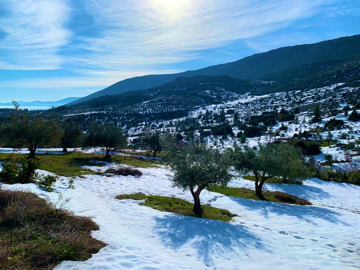Just up the slopes of Mt. Helicon, on the other side of Thespiae, lies the incredible sanctuary at the Valley of the Muses!You might be used to seeing endless olive trees in the Greek summertime, but a grove covered in snow is something special!