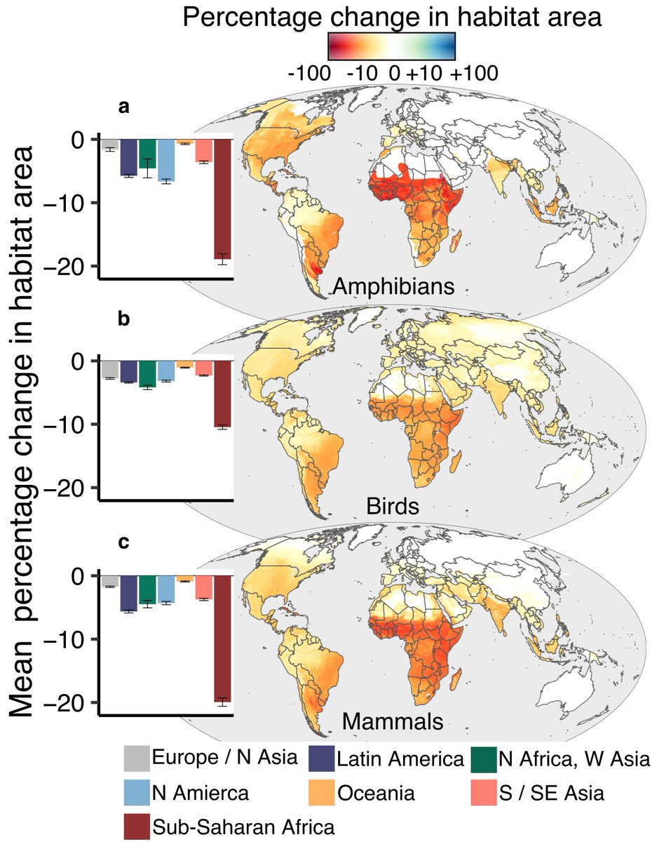 And it's bad news. Real bad. Sub-Saharan Africa, Latin America and tropical Asia could see huge numbers of species lose huge areas of habitat, putting them at serious  #extinction risk. That's Figures 2 and 3. It's bleak, even by 2020 standards 9/