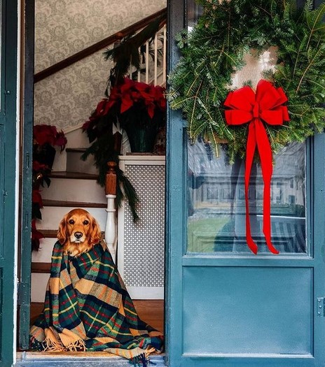 Us waiting for Christmas Day #HappyWinterSolstice