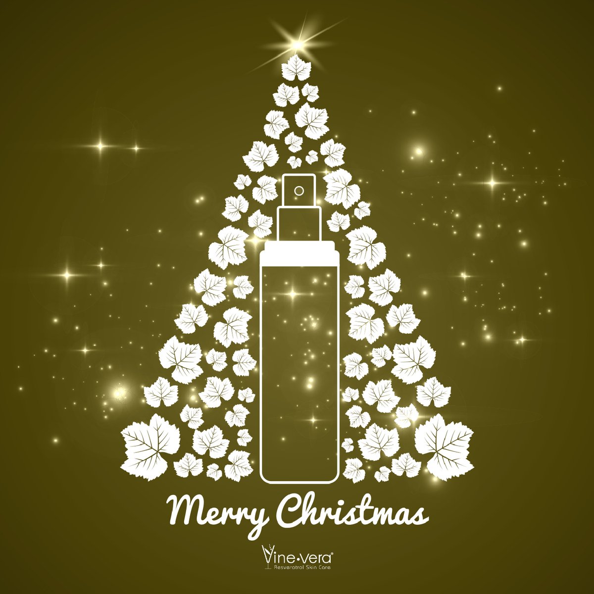 #VineVera would like to extend a big Thank You to our loyal customers ! Season's Greetings from our family to yours.Wishing you all success, happiness and good health! 

#HappyHolidays #MerryChristmas #HappyHanukka #HappyKwanza #tistheseason #SeasonsGreetings