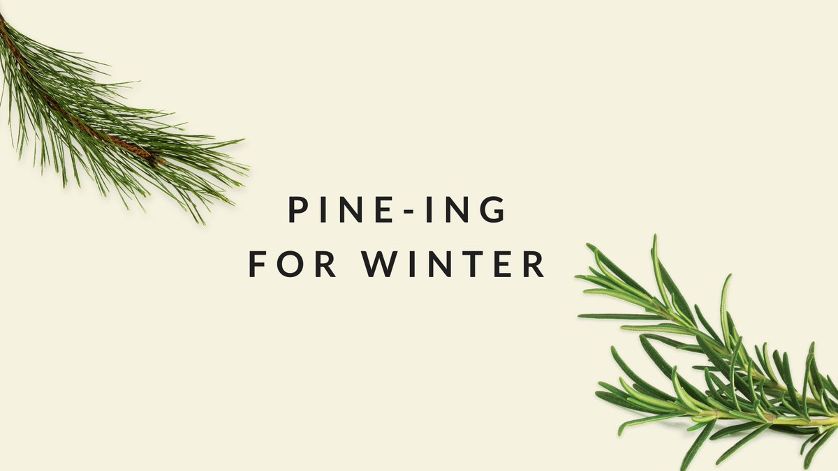 Happy first day of winter! Pine-ing for those festive feels? Head to our Instagram stories to see how we're celebrating.