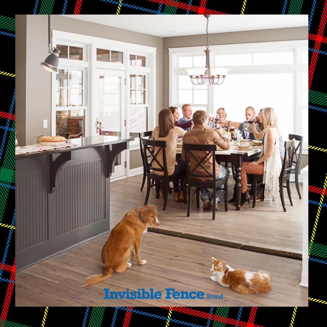 invisible fence shields gate