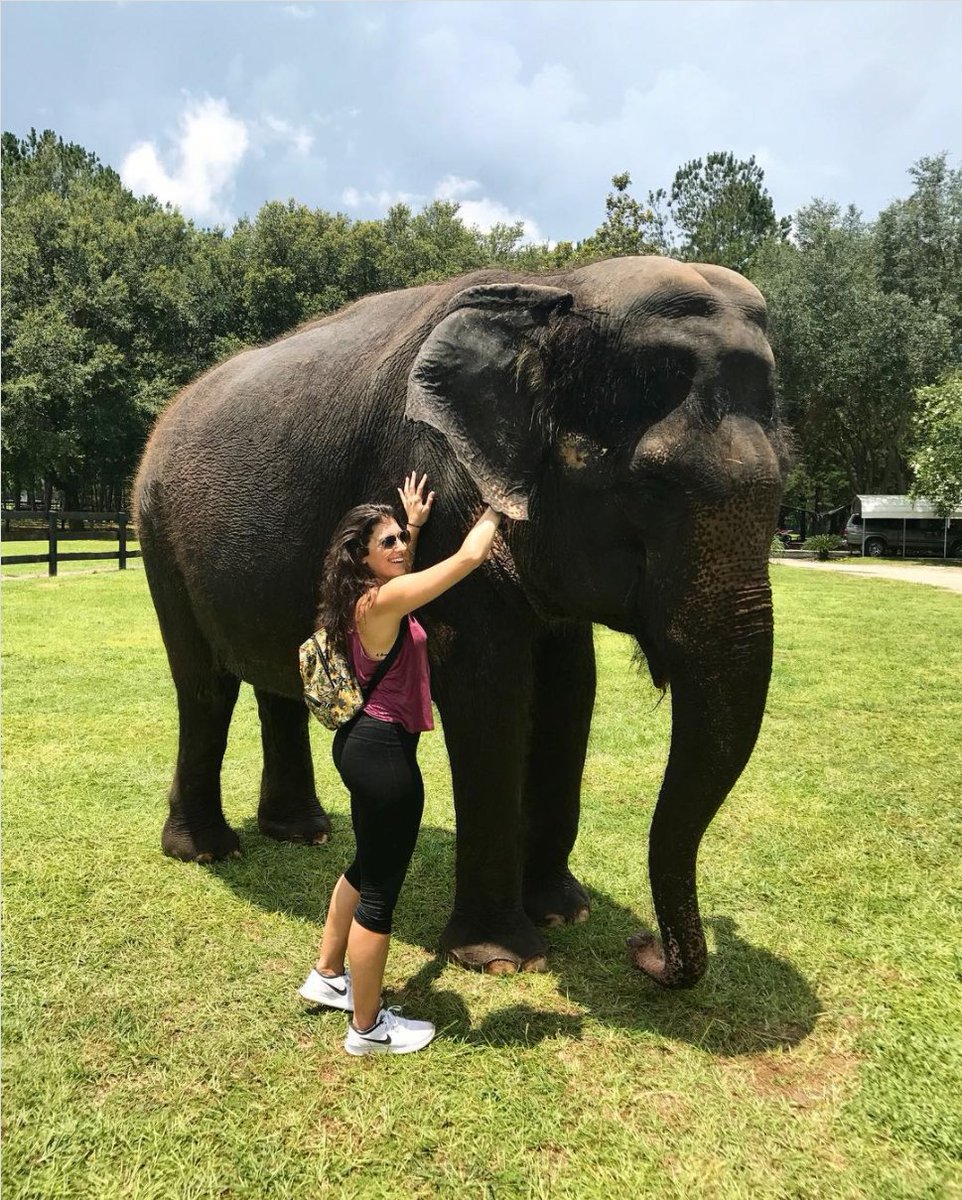 Planning your 2021 schedule? From outdoor adventures to historical sites, here's a list of the best things to do in Levy County when next spring arrives. #VisitLevyCounty ow.ly/UKuY30rmWzm