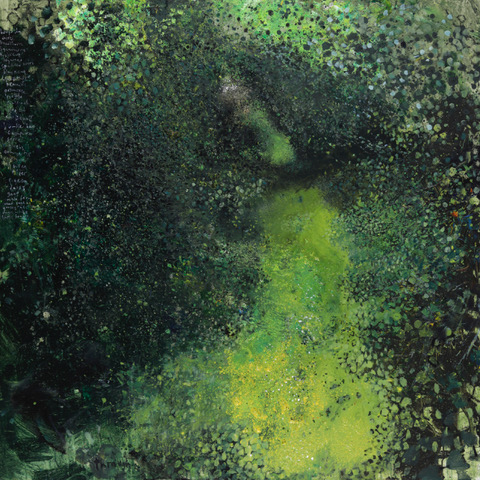 tweetbytheriver's tweet photo. 'I set up my easel &amp; seats around the land [...] Hogweed heads, fern fronds, oak sprays, beech trunks, the hoverflies and butterflies, the transparency of a leaf: this was my vocabulary &amp; excitement.'

@KurtJacksonArt on a year spent painting in the woods
https://t.co/Q858DWy9mj https://t.co/CbXOFQEAs8