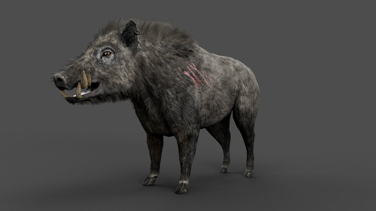 Mondays can be such a boar...Boar and Porkchop model by Marius Poersel :Dpi...