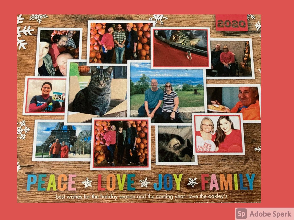 Melissa Oakley tweet media