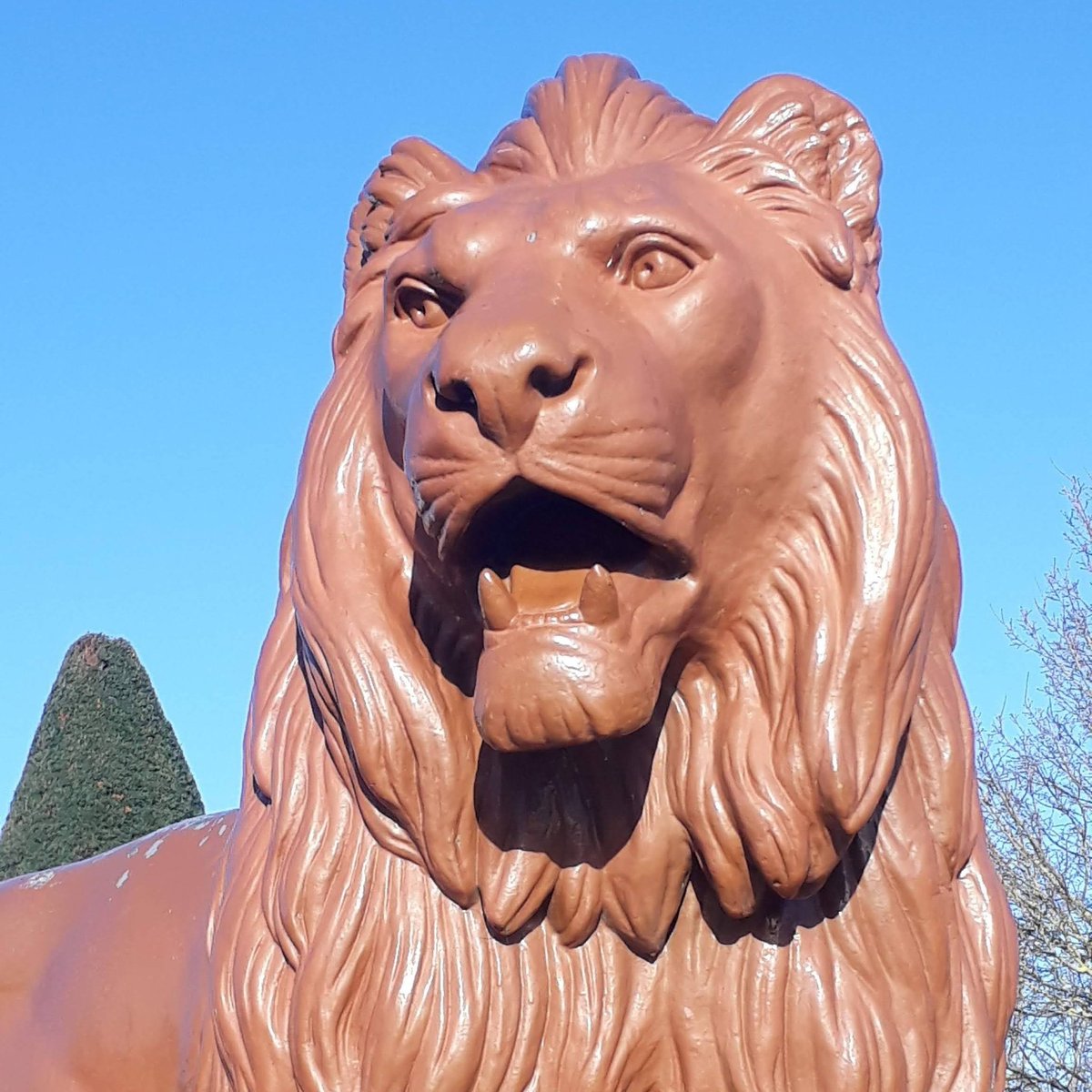 Modabechirt's tweet image. #NouvellePhotoDeProfil