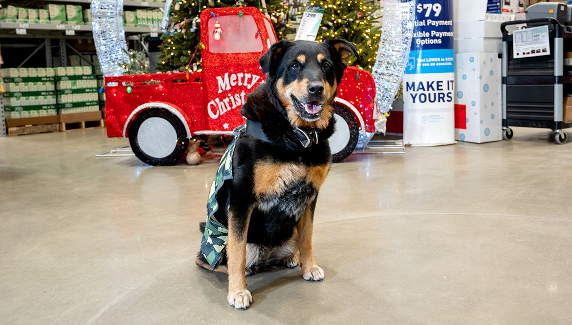 This duo really is better together! <a href="/Lowes/">Lowe's</a> hires army veteran and also scores bonus associate: low.es/3r93cez #Veteran #LowesHeroes #LowesVeterans #Service