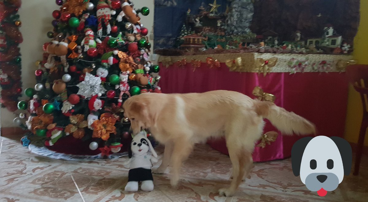 Fernandoschave1's tweet photo. 🐶....(".)¿?¿? https://t.co/iLJ1VXfDbs