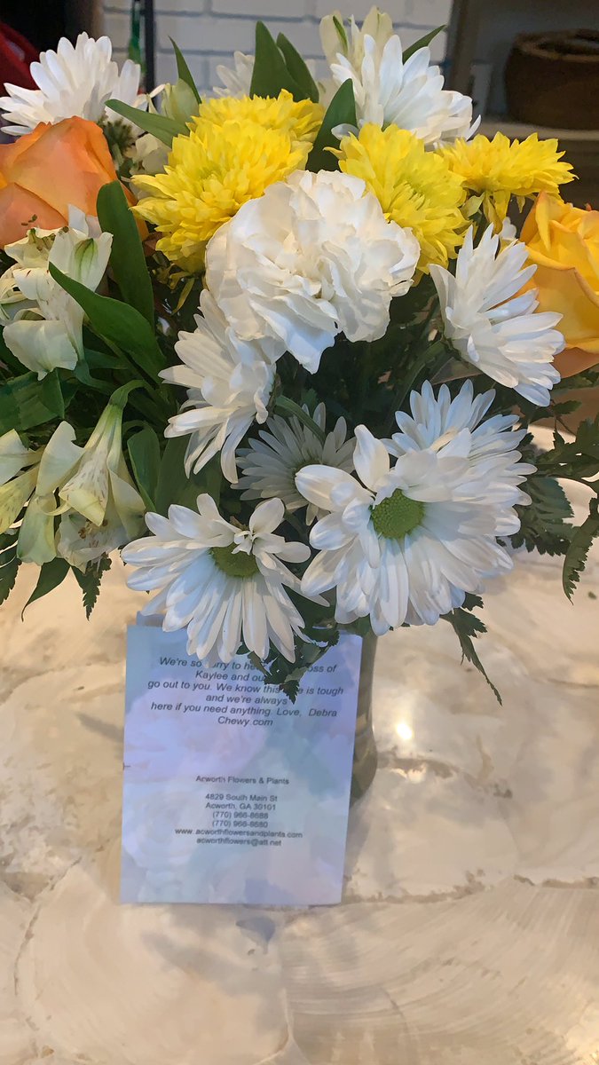 Elizabeth Moody tweet media