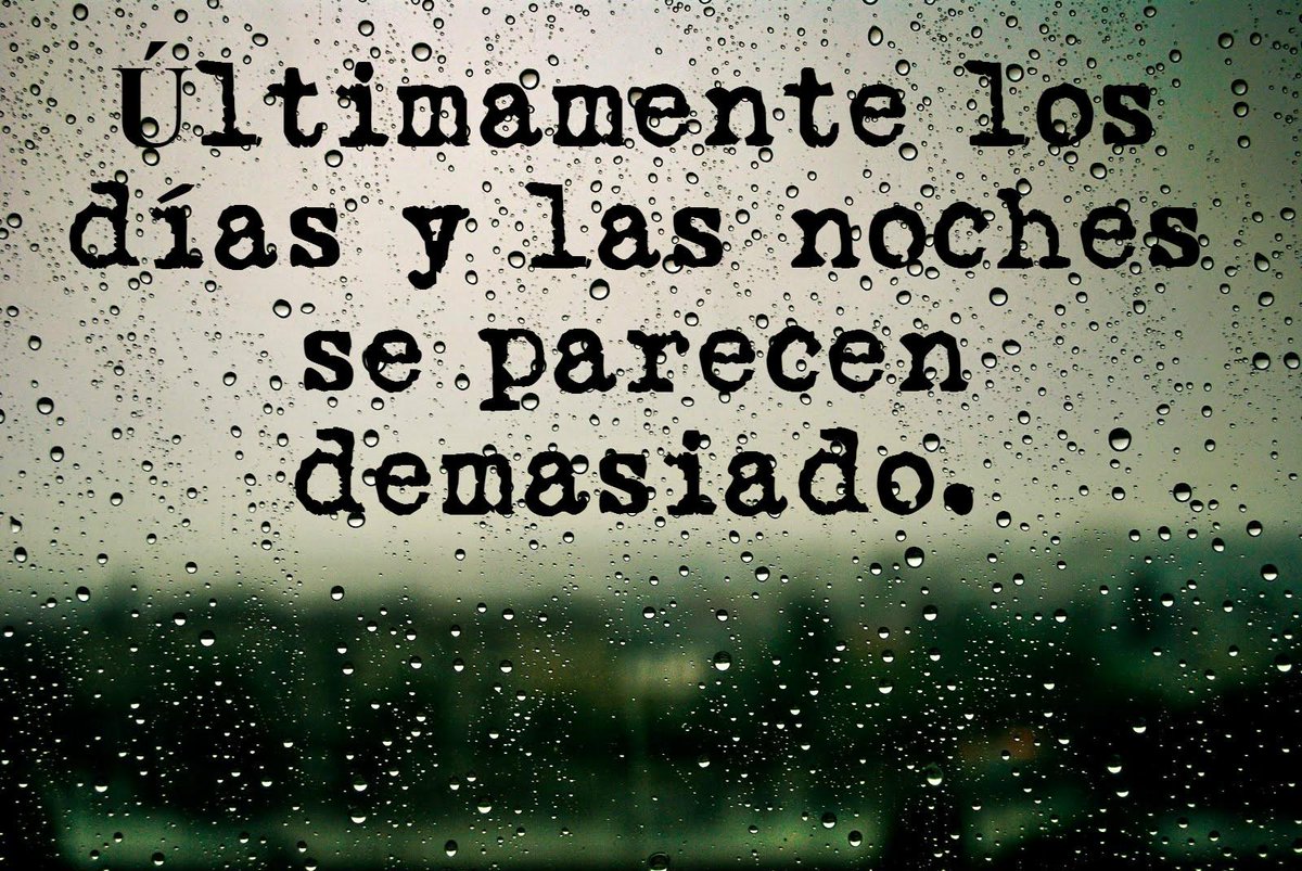 Mauricio Serrano tweet media