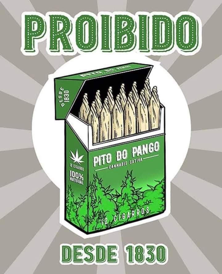 tipocigarro's tweet photo. "sem a erva não dá mais" https://t.co/pzrz0YM4Jy