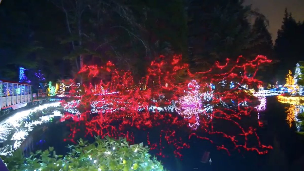 jarmstrongbc's tweet photo. This is neat: @stanleyparkrail isn’t running for Bright Nights this year, but they’ve just put out video of the train journey and a 360 virtual experience: 
https://t.co/D035sruaeY

https://t.co/wfBqiQApgI

Enjoy it? Consider donating to @BCBurnFund https://t.co/3KFEV1Srct