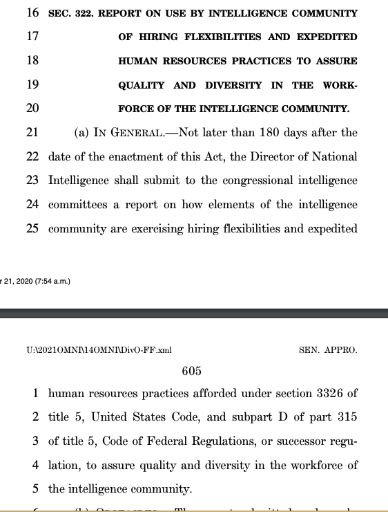 The Covid relief bill mandates new hiring measures to ensure diversity in the intelligence community