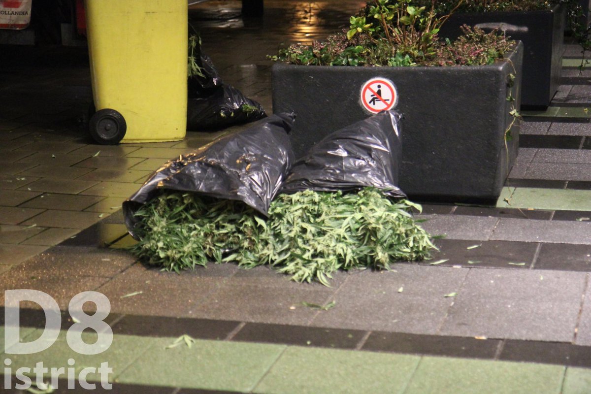 RedactieD8's tweet photo. In een woning aan de #MartinusNijhofflaan in #Delft is vanavond een hennepkwekerij aangetroffen.  Een gespecialiseerd bedrijf heeft de kwekerij ontmanteld. https://t.co/AfvutGgqgW