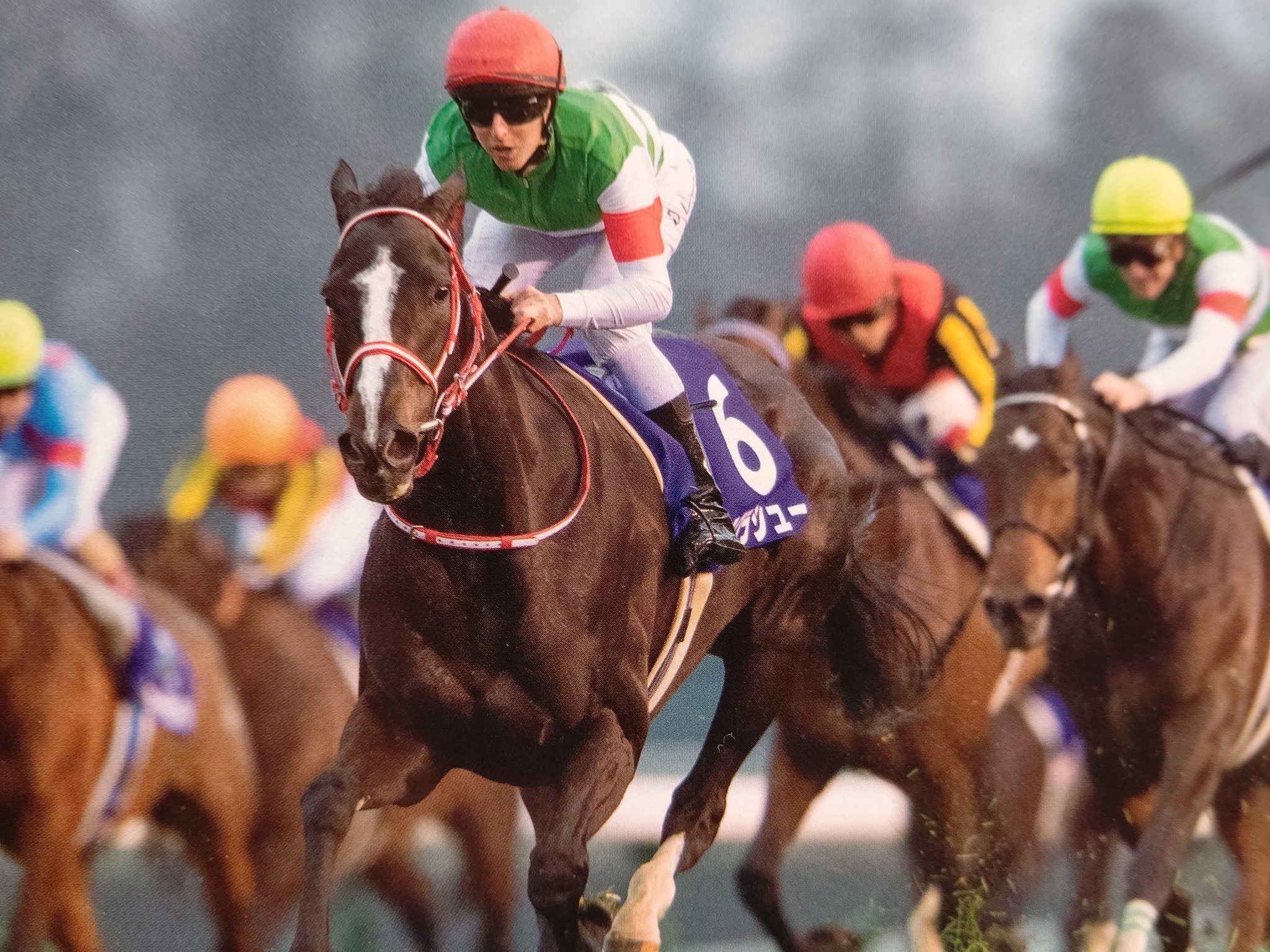 Stay Dream 有馬記念 過去12月22日のレースでは オルフェーヴル 11年 と昨年の リスグラシュー がラストランで 有終の美 を飾りましたが オルフェーヴルは兄ドリームジャーニーに続く史上初の兄弟制覇を達成 またリスグラシューは牝馬としては