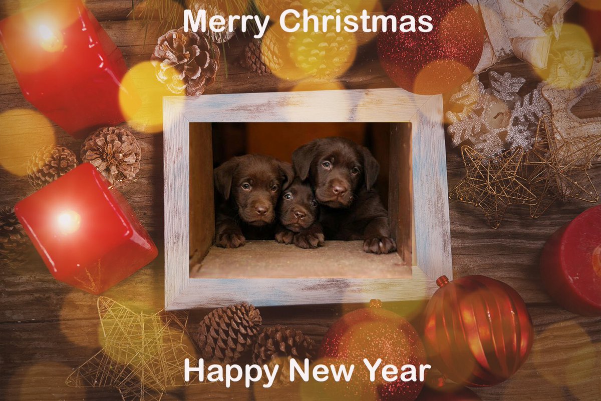 RamVaidhyanath's tweet photo. Happy Christmas! And best wishes for a happy, healthy, and peaceful New Year🎄 https://t.co/xaLq9wRpLy