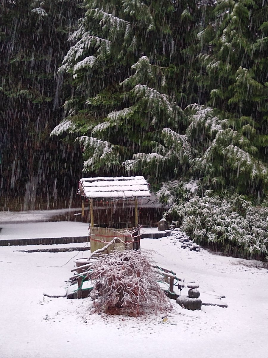 seductivemochi's tweet photo. Happy Winter Solstice! #firstsnow https://t.co/l6WSxbrDh8