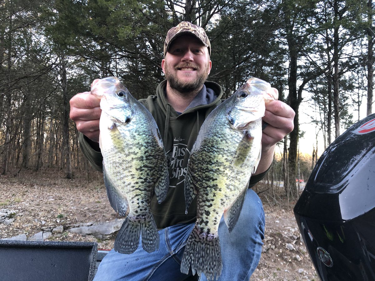 TNBassMan10's tweet photo. 230 crappie with 99 keepers in 5 trips so far. No live bait. #PercyPriest https://t.co/vT6QHejV8A