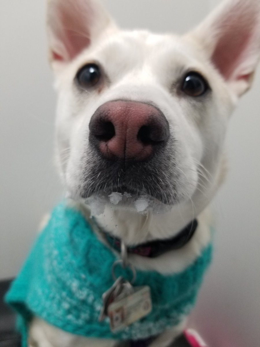 I have decided to spam Twitter with cuteness today!! Feel free to join me!!!