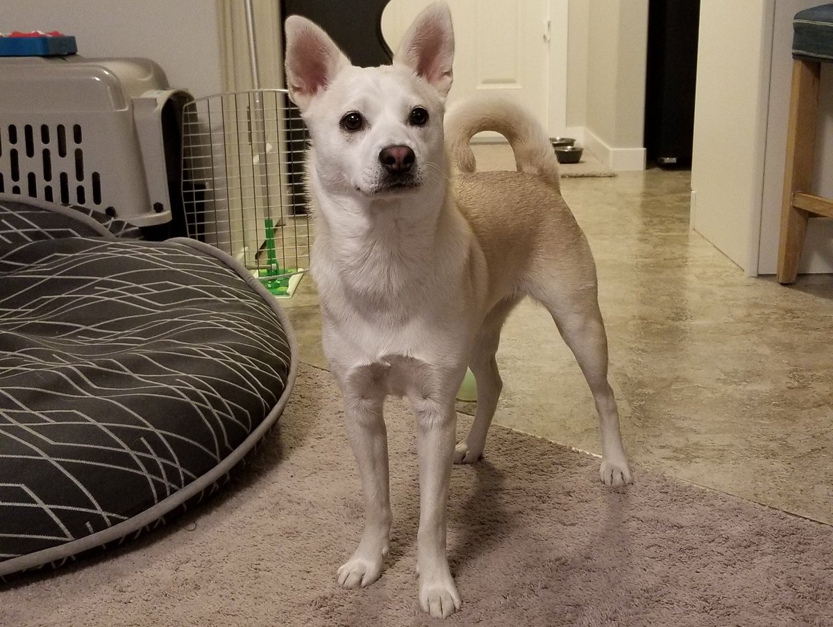 I have decided to spam Twitter with cuteness today!! Feel free to join me!!!