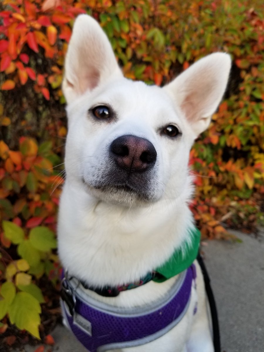 I have decided to spam Twitter with cuteness today!! Feel free to join me!!!