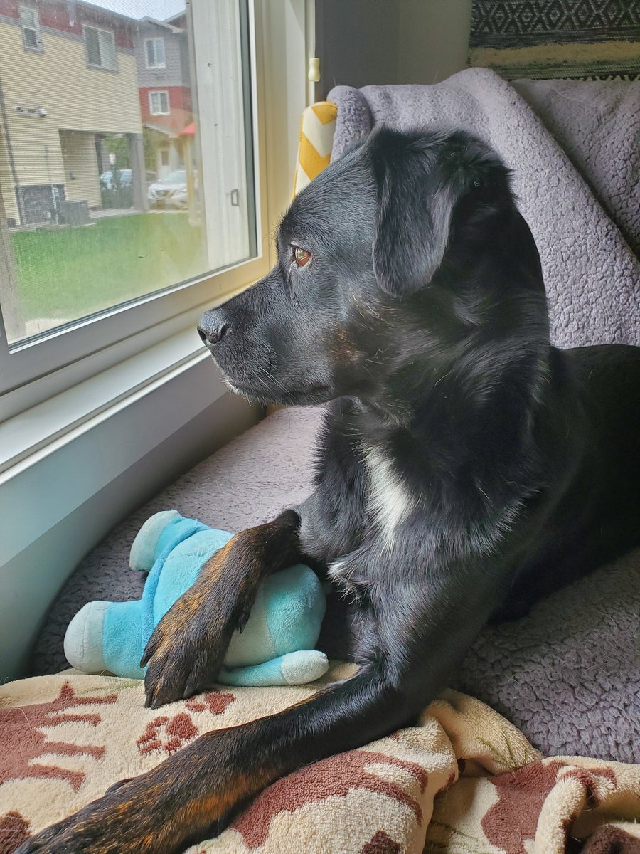 I have decided to spam Twitter with cuteness today!! Feel free to join me!!!