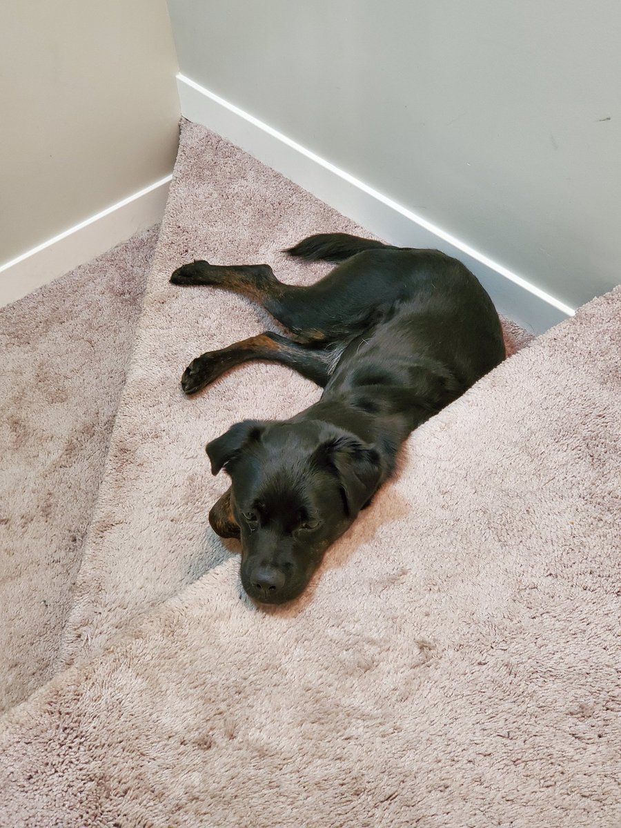 I have decided to spam Twitter with cuteness today!! Feel free to join me!!!