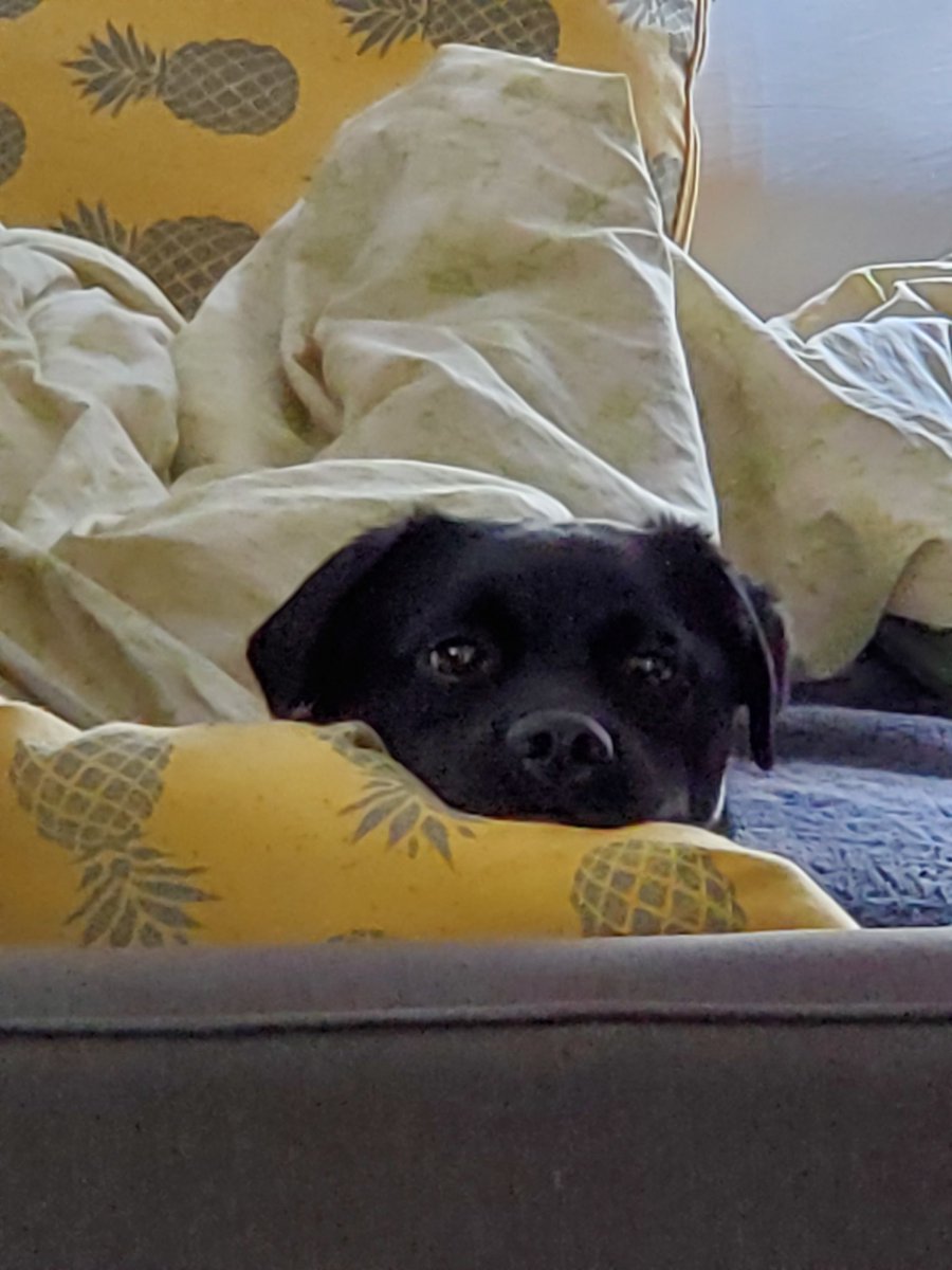 I have decided to spam Twitter with cuteness today!! Feel free to join me!!!