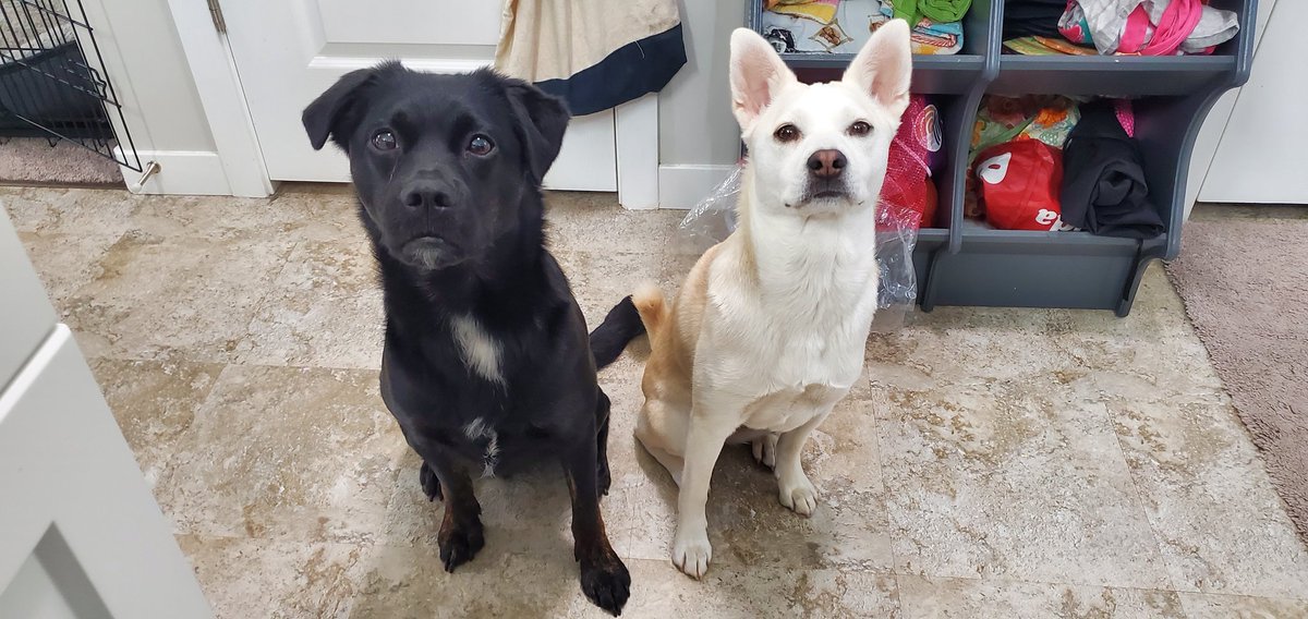 I have decided to spam Twitter with cuteness today!! Feel free to join me!!!