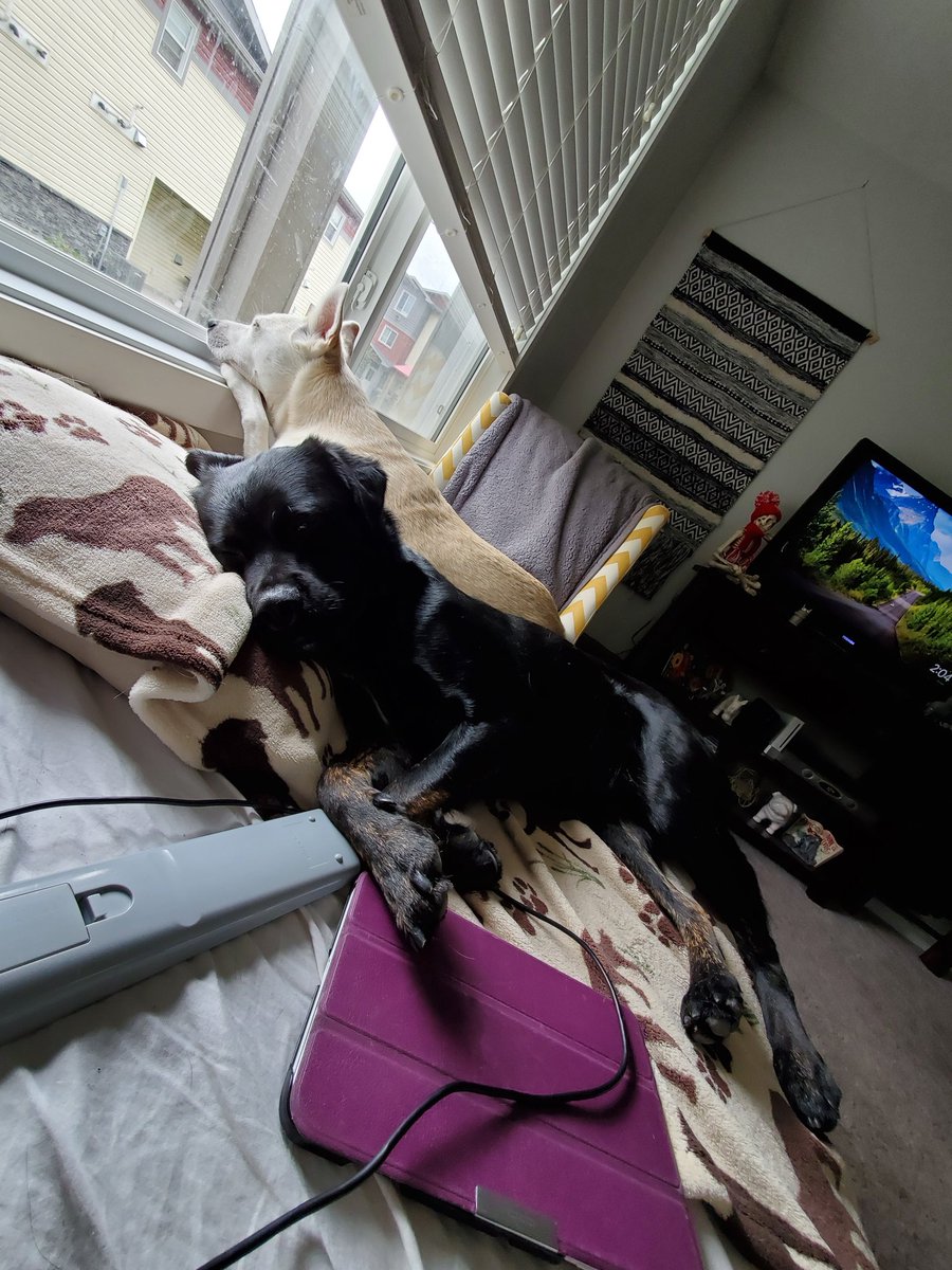 I have decided to spam Twitter with cuteness today!! Feel free to join me!!!