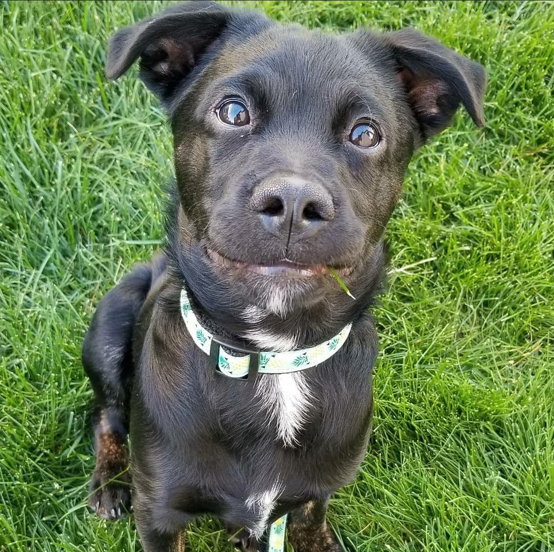 I have decided to spam Twitter with cuteness today!! Feel free to join me!!!