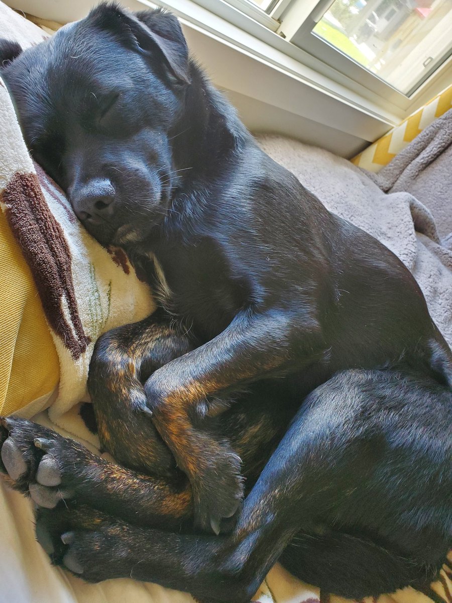 I have decided to spam Twitter with cuteness today!! Feel free to join me!!!