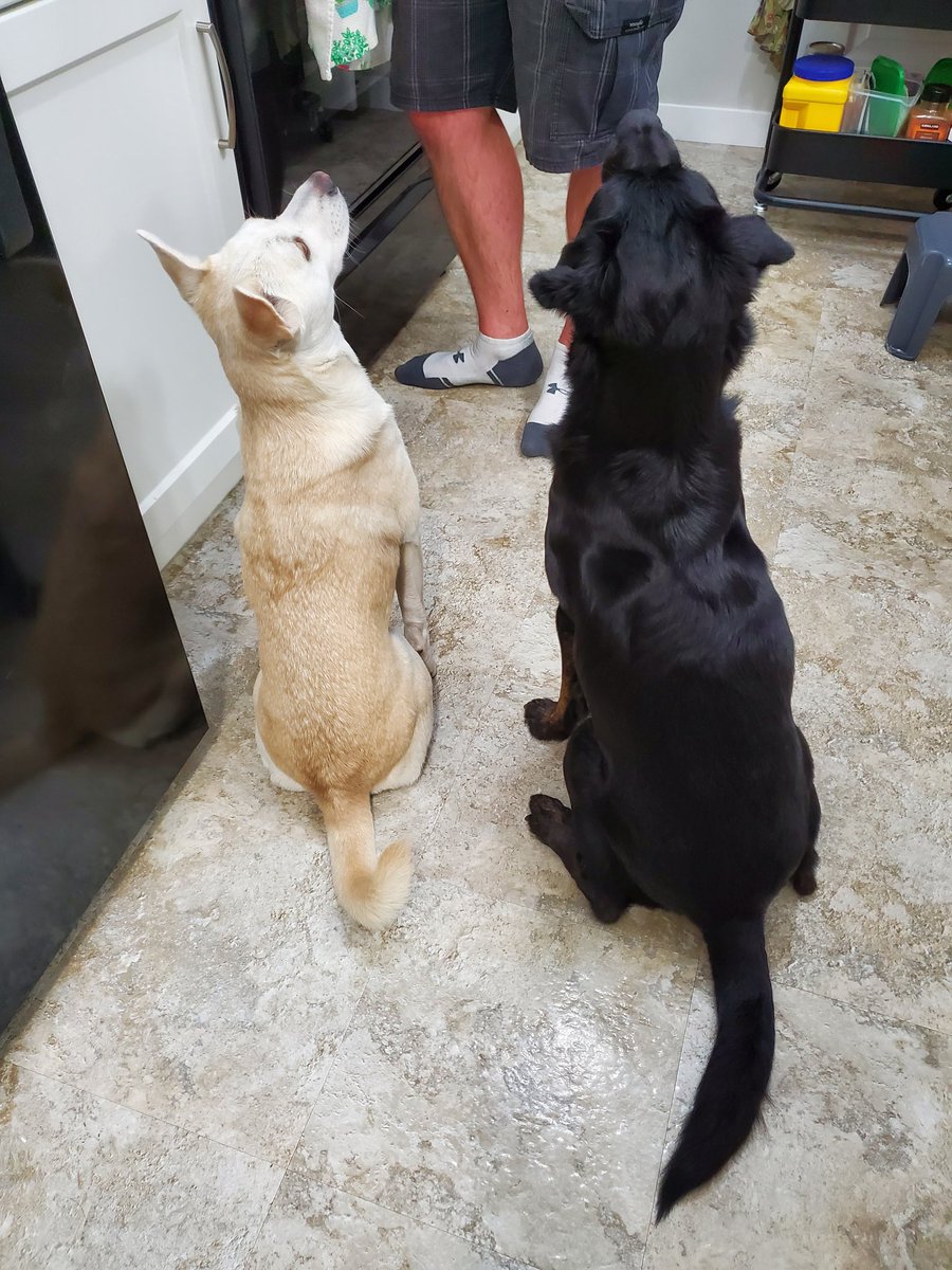 I have decided to spam Twitter with cuteness today!! Feel free to join me!!!