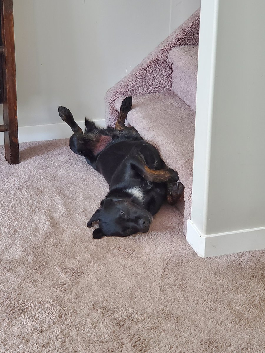 I have decided to spam Twitter with cuteness today!! Feel free to join me!!!