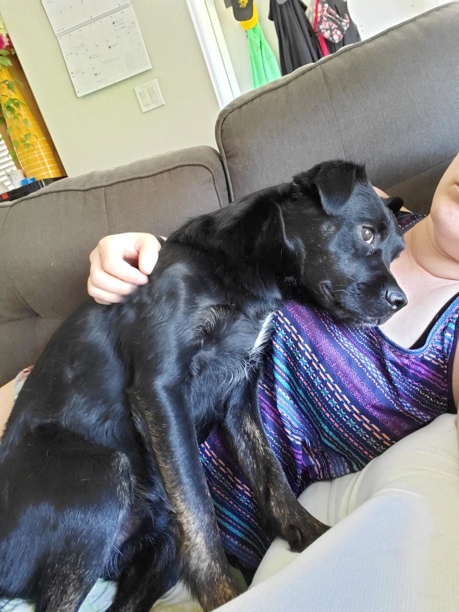 I have decided to spam Twitter with cuteness today!! Feel free to join me!!!