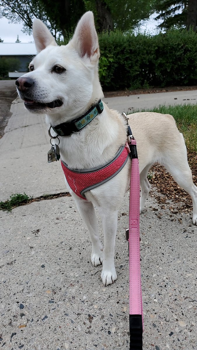 I have decided to spam Twitter with cuteness today!! Feel free to join me!!!