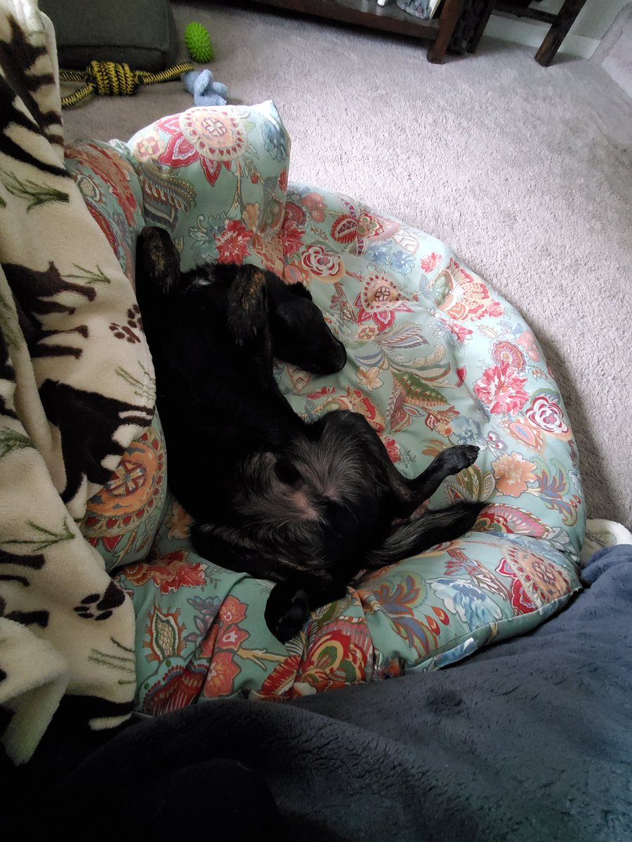 I have decided to spam Twitter with cuteness today!! Feel free to join me!!!