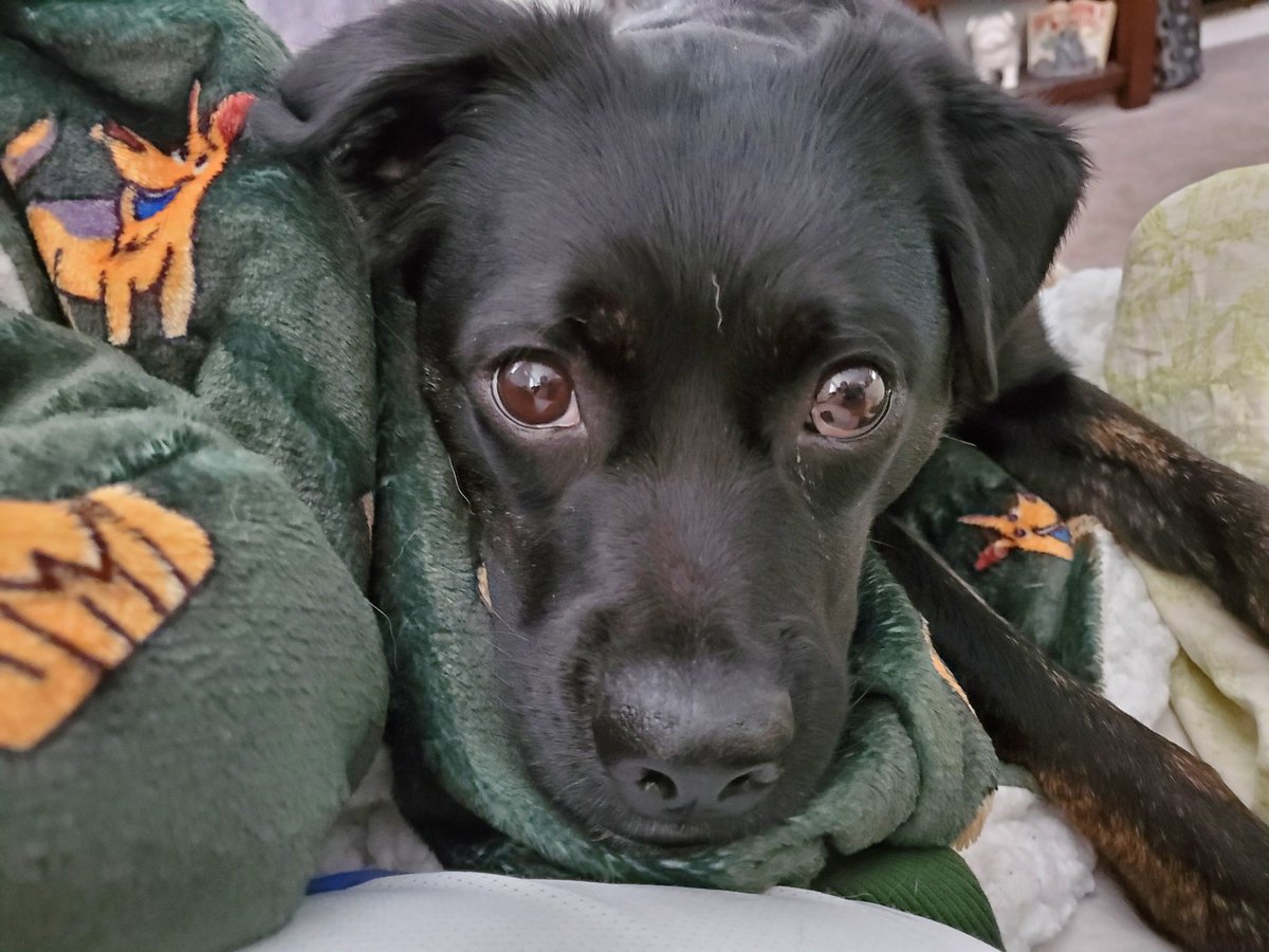 I have decided to spam Twitter with cuteness today!! Feel free to join me!!!